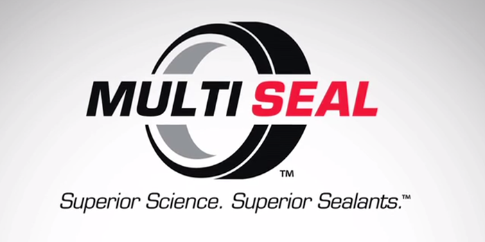 Multi-Seal-Logo