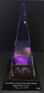 Pirelli_Ford_Green_Pillar_Award