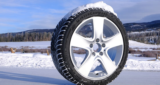 Goodyear-WinterCommand-Tire