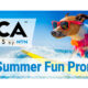 2021-Summer-Fun-BCA-Bearings