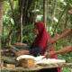 Sustainable-Rubber-Supply-Chain_Continental_GIZ-Canopy-Indonesia