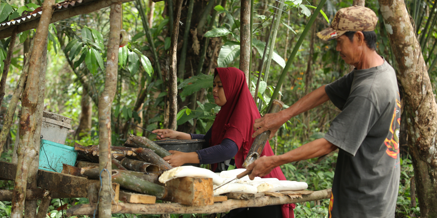 Sustainable-Rubber-Supply-Chain_Continental_GIZ-Canopy-Indonesia