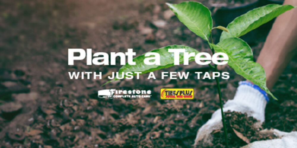 Bridgestone-App-Plant-trees