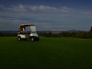 The golf course segment, which includes cart tires, in addition to course maintenance equipment, is poised for slow, but steady recovery in coming years.