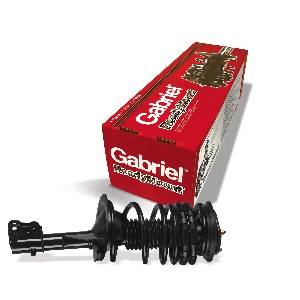 gabriel's readymount fully assembled struts