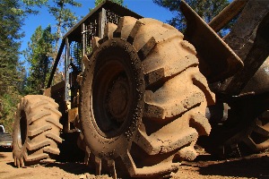 Although the forestry market took a big hit during the recession, the segment is back on track, with several tire manufacturers predicting steady growth for the next several years.