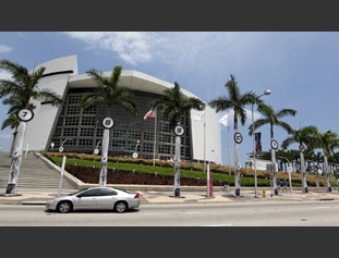 Royal palm trees wrapped with Kumho tire ads in front of the American Airlines Arena in downtown Miami. (Photo by Walter Michot/Miami Herald)